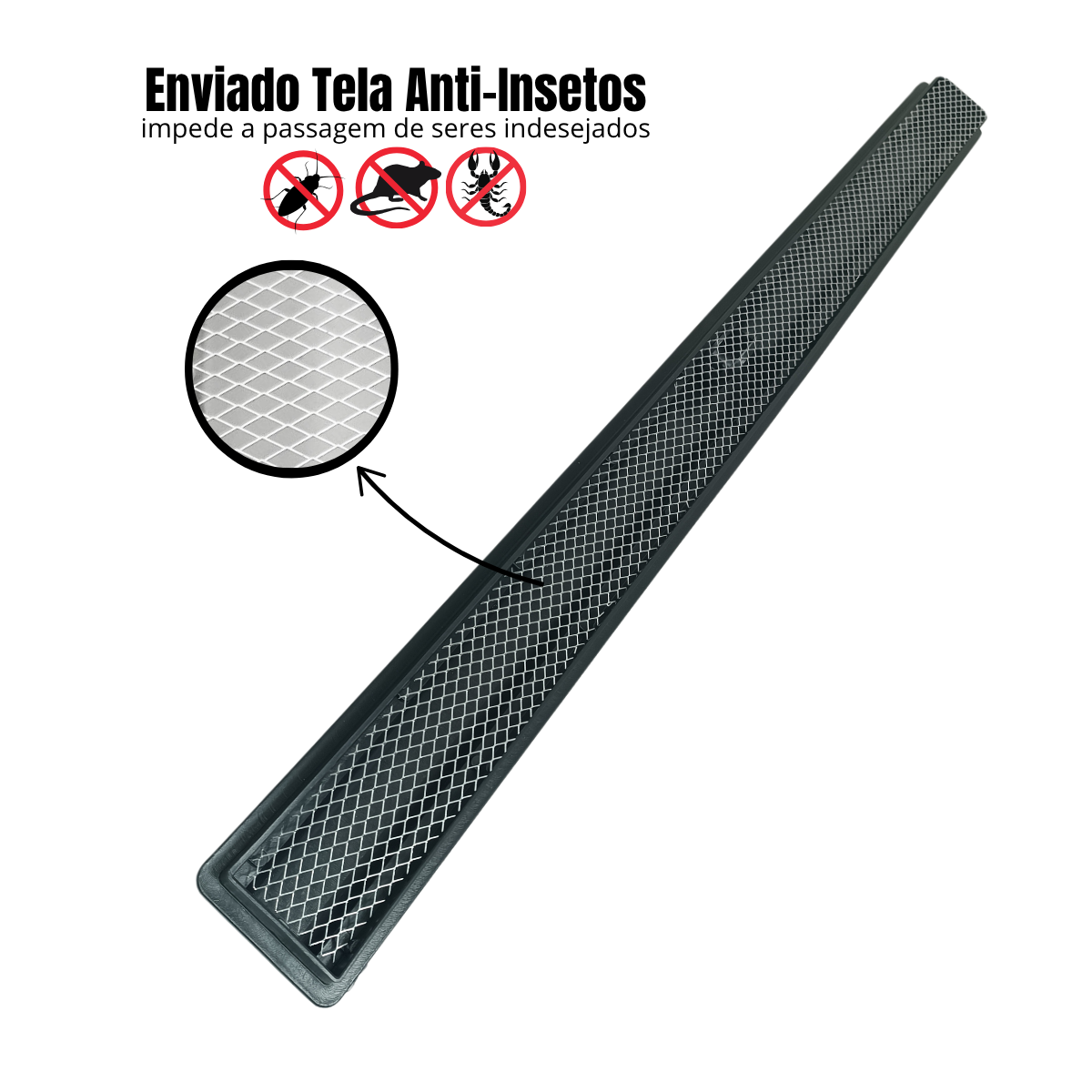Ralo Sifonado 5cm largura Inox Netuno com Coletora + Tela Anti Insetos