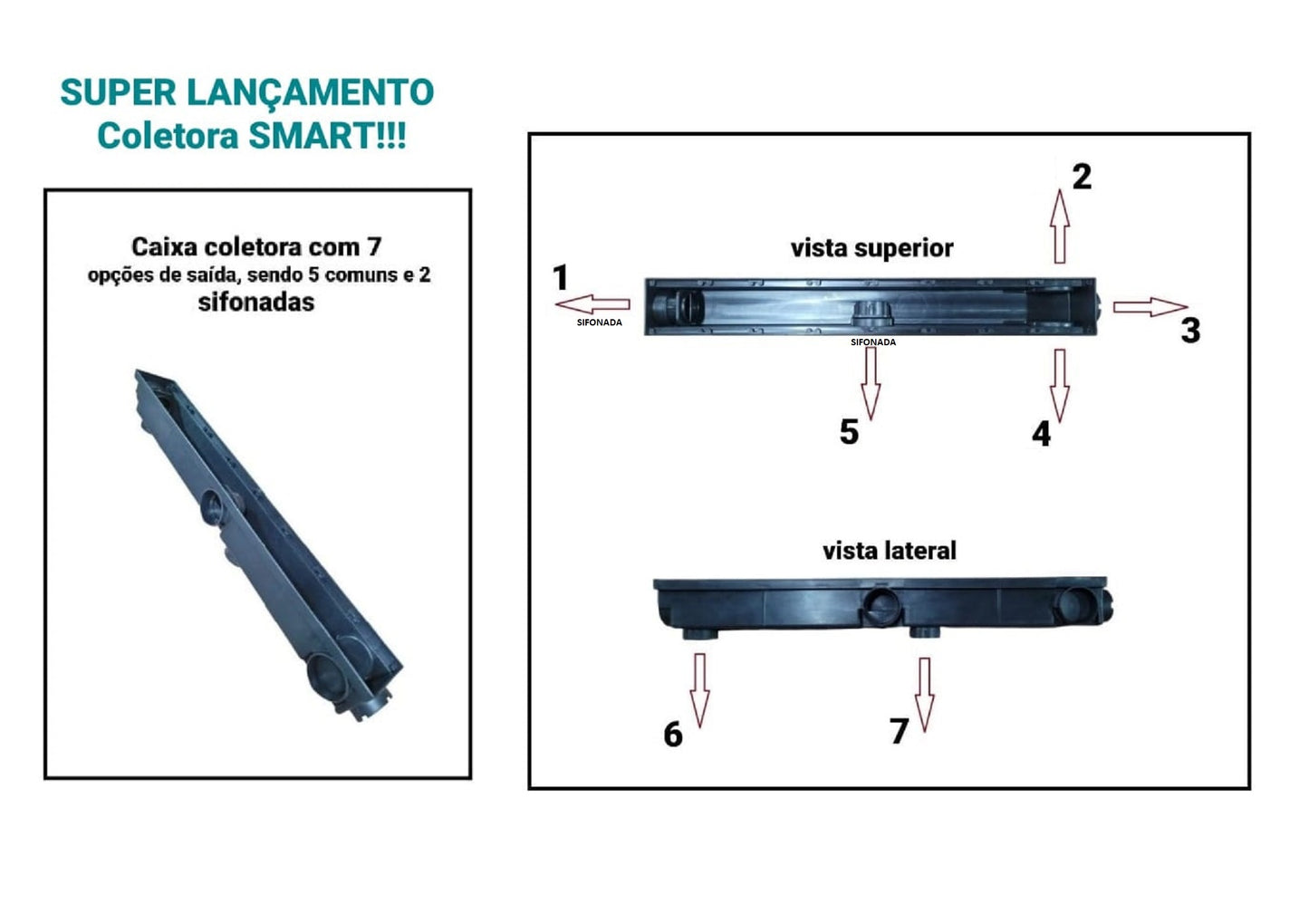 Ralo Linear Sifonado 6x50 Oculto com Grelha Lisa em Inox Polido com Tela Anti Inseto
